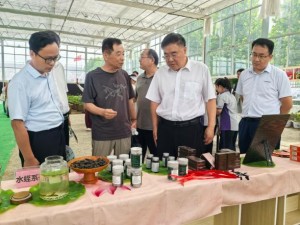 图片 4.jpg